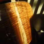 Tasmanian blackwood 000 in the sun